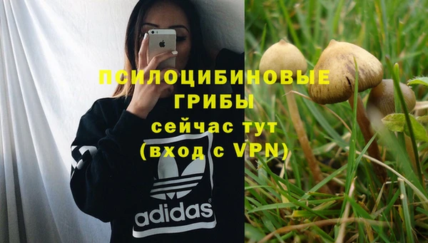 винт Алзамай